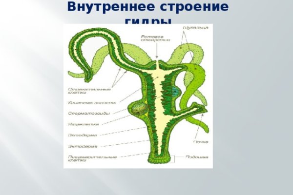 Зеркало омг омг омг